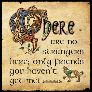 C602 No Strangers Here Blank Card