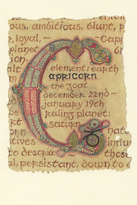 CSS01 - Capricorn Star Sign Card