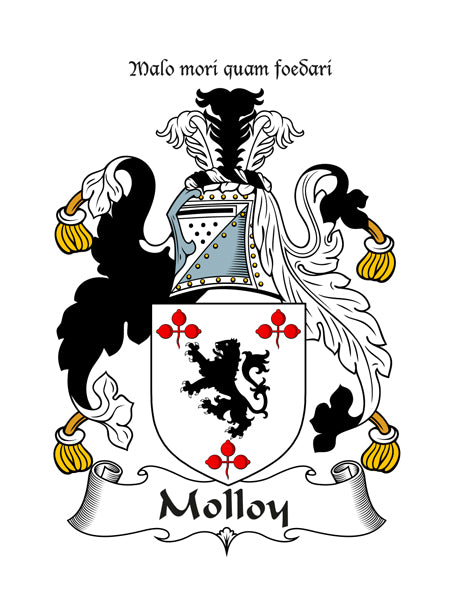 Heraldic Fridge Magnets -  MacDermot to Young
