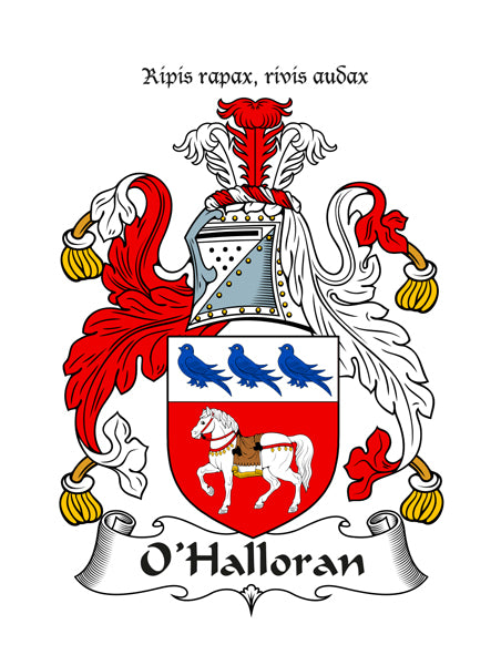 Heraldic Fridge Magnets -  MacDermot to Young