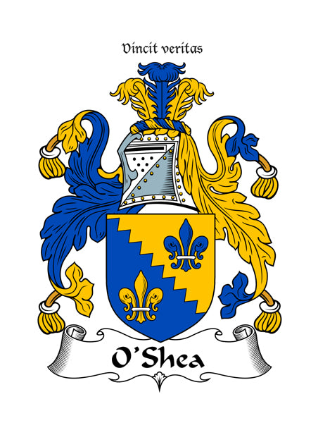 Heraldic Fridge Magnets -  MacDermot to Young