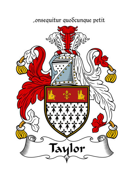 Heraldic Fridge Magnets -  MacDermot to Young