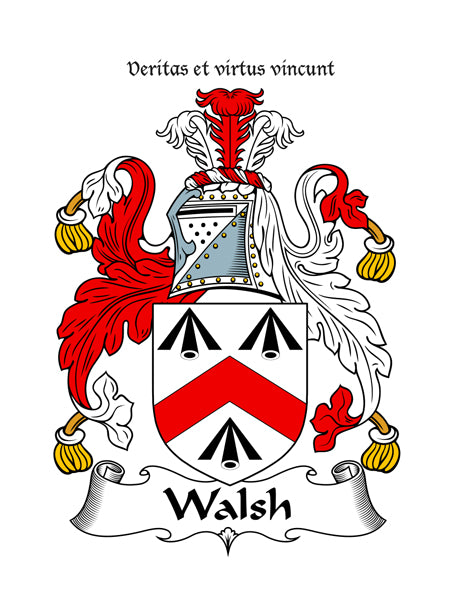 Heraldic Fridge Magnets -  MacDermot to Young