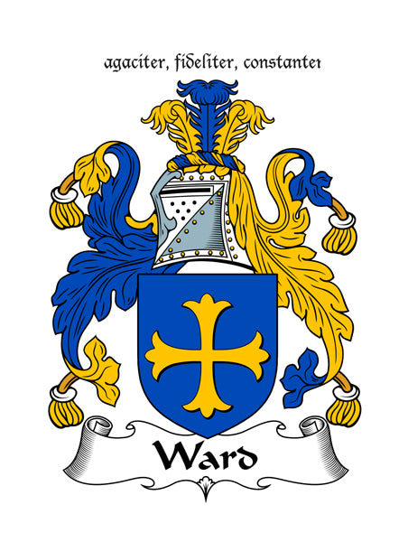 Heraldic Fridge Magnets -  MacDermot to Young
