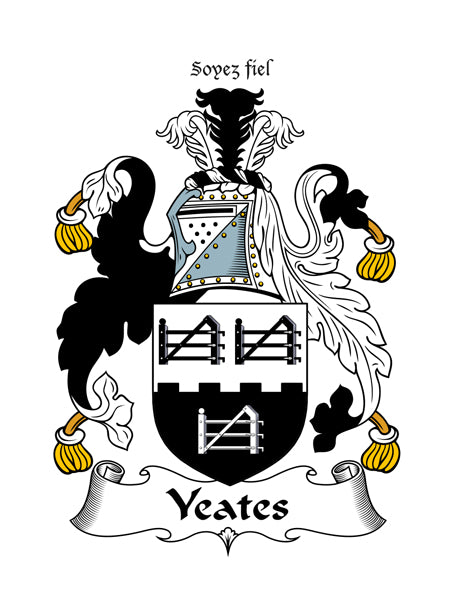 Heraldic Fridge Magnets -  MacDermot to Young